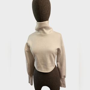 Turtle Neck Long Sleeve Crop top